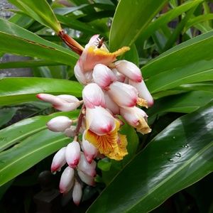 Meet your Posher, Edit